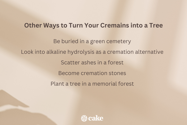 Other Ways to Turn Your Cremains Into a Tree
